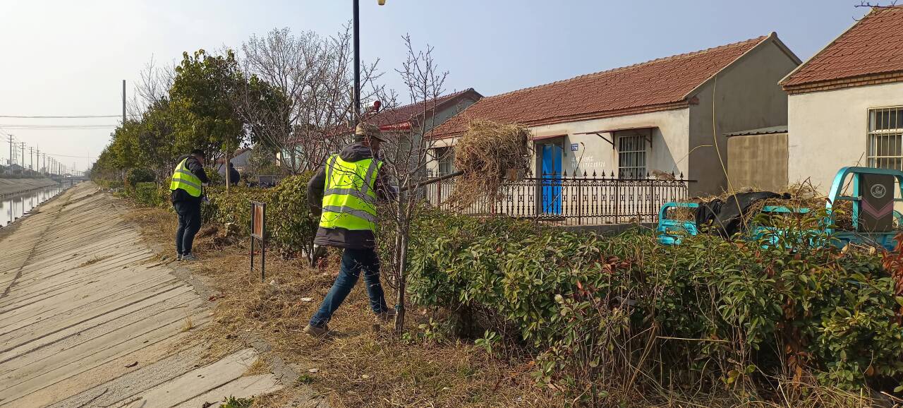 QQ圖片20260313082644